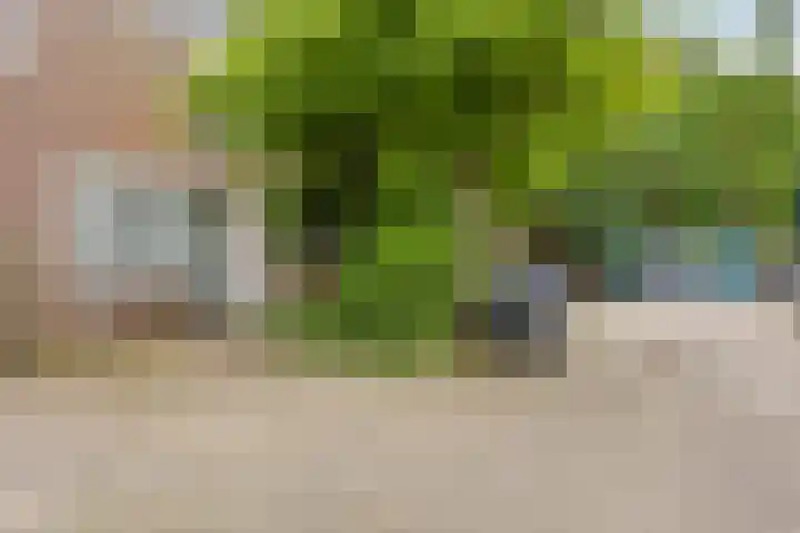 Maanzaaderf 21 Diemen thumbnail 26
