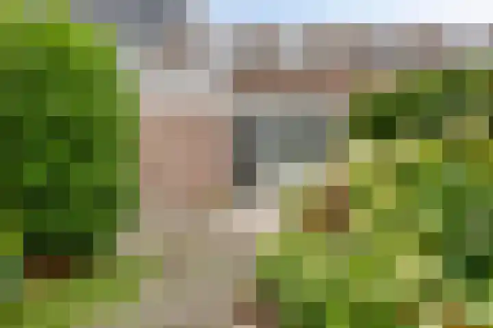 Maanzaaderf 21 Diemen thumbnail 4