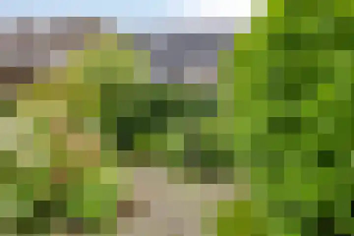 Maanzaaderf 21 Diemen thumbnail 5