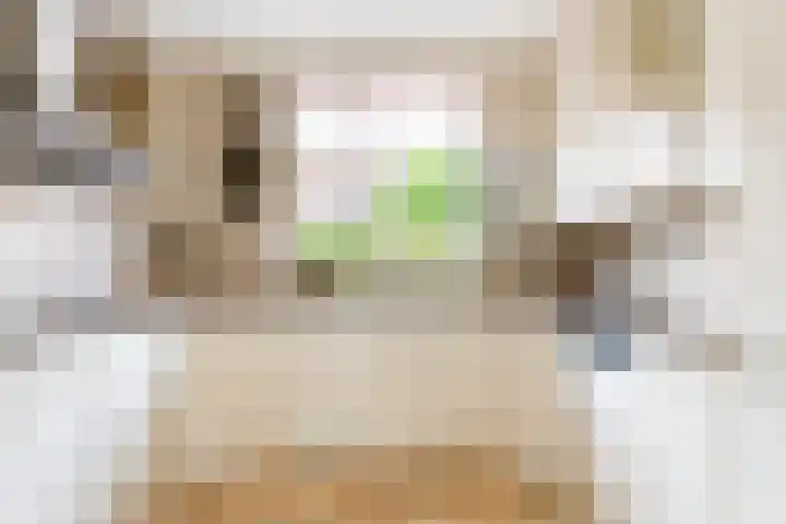 Maanzaadpad 25 Almere thumbnail 22