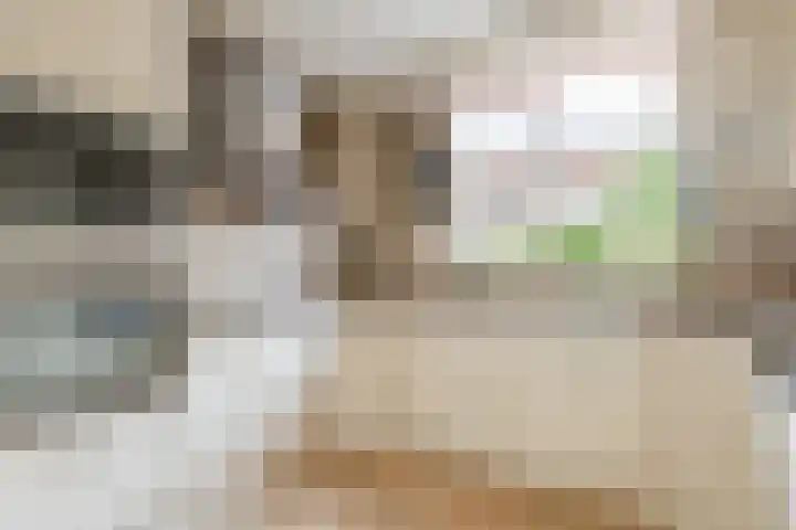 Maanzaadpad 25 Almere thumbnail 23