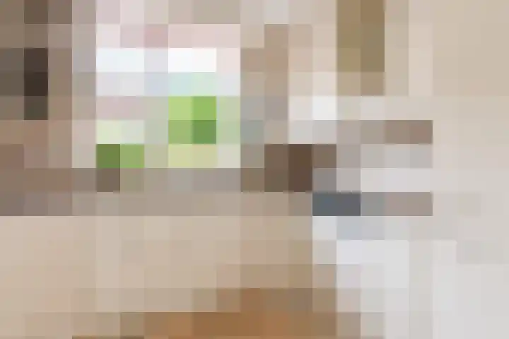 Maanzaadpad 25 Almere thumbnail 24