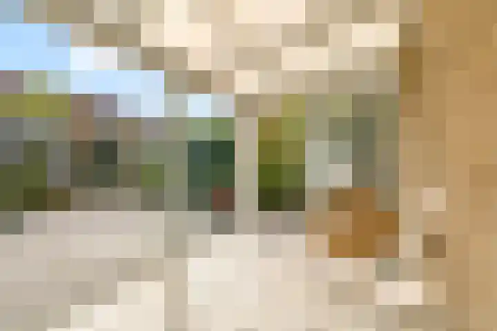 Maanzaadpad 25 Almere thumbnail 39