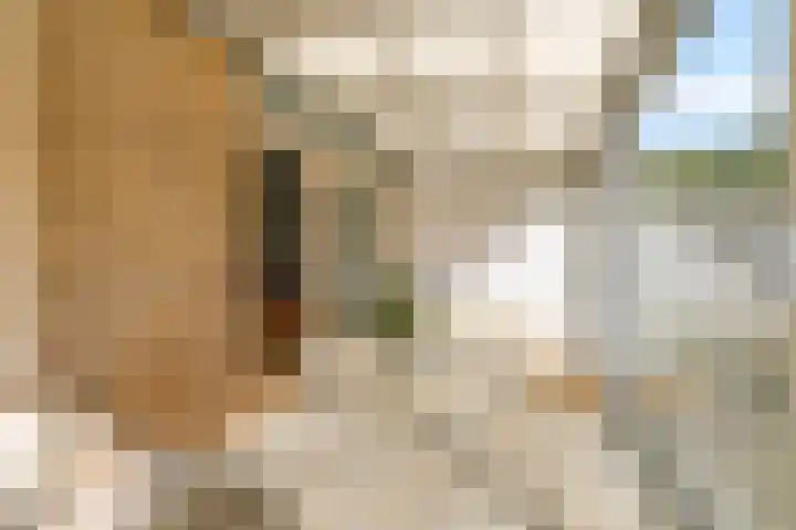 Maanzaadpad 25 Almere thumbnail 40