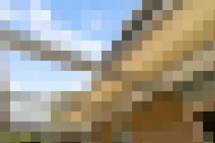 Maanzaadpad 25 Almere thumbnail 42