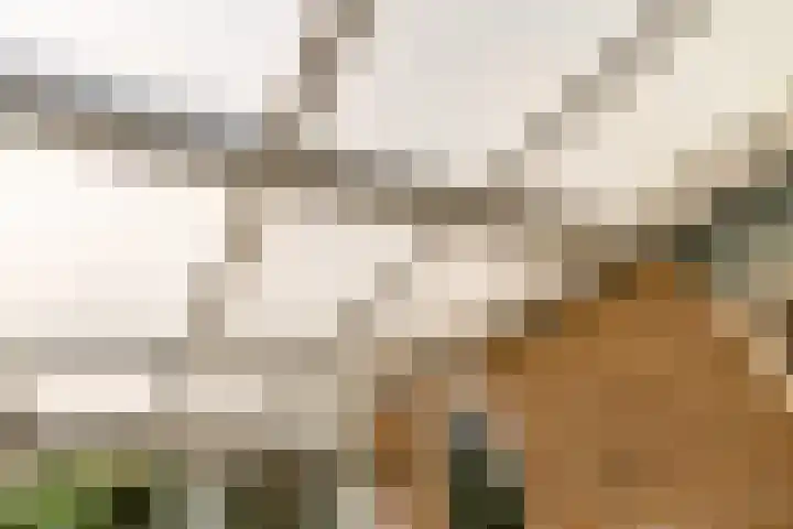 Maanzaadpad 25 Almere thumbnail 43
