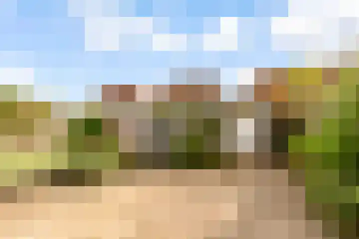 Maanzaadpad 25 Almere thumbnail 44