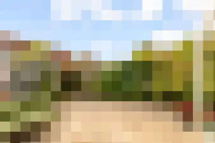 Maanzaadpad 25 Almere thumbnail 47