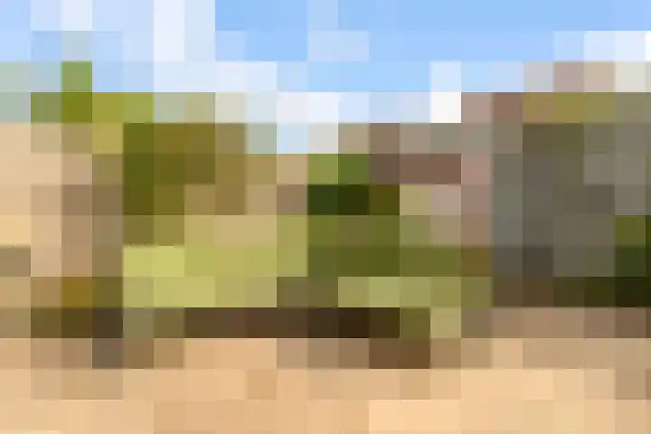 Maanzaadpad 25 Almere thumbnail 48