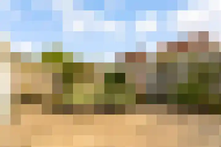 Maanzaadpad 25 Almere thumbnail 50