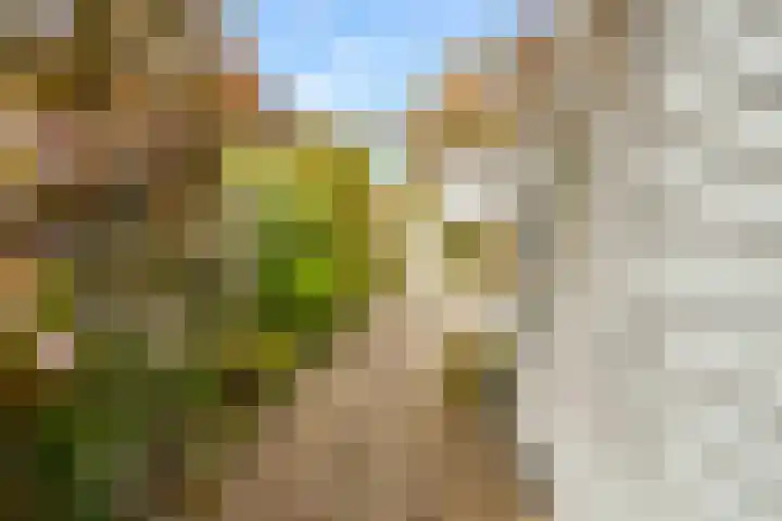 Maanzaadpad 25 Almere thumbnail 53