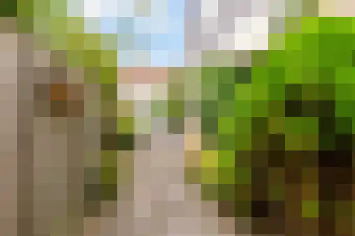 Maanzaadpad 25 Almere thumbnail 56