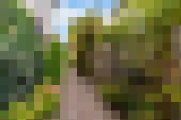 Maanzaadpad 25 Almere thumbnail 57