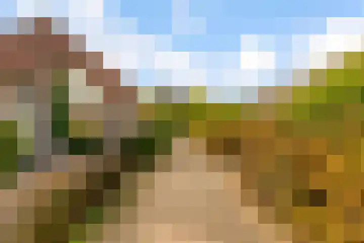 Maanzaadpad 25 Almere thumbnail 58