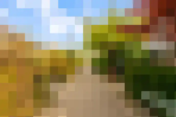 Maanzaadpad 25 Almere thumbnail 59
