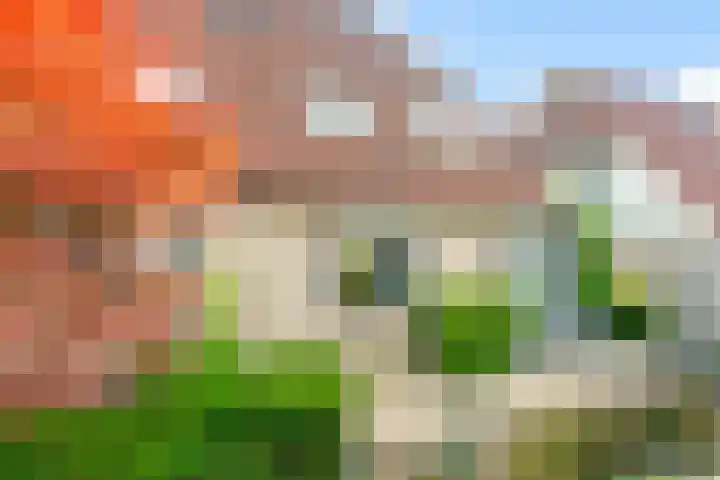 Maanzaadpad 25 Almere thumbnail 6