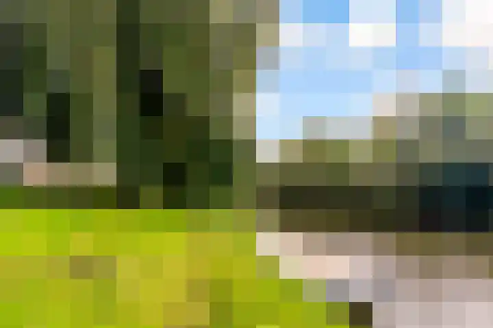 Maanzaadpad 25 Almere thumbnail 60