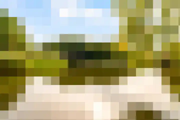 Maanzaadpad 25 Almere thumbnail 62