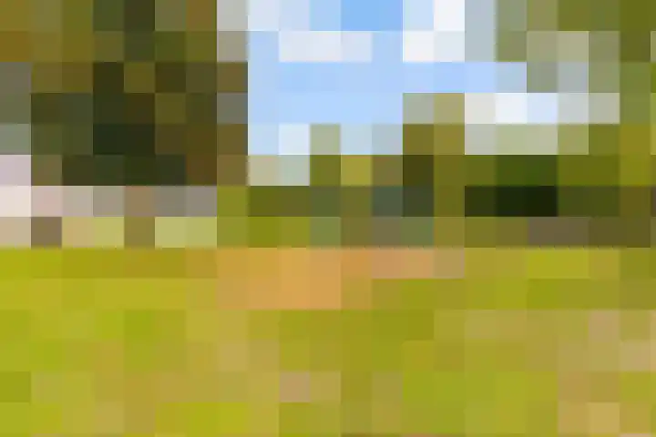 Maanzaadpad 25 Almere thumbnail 63