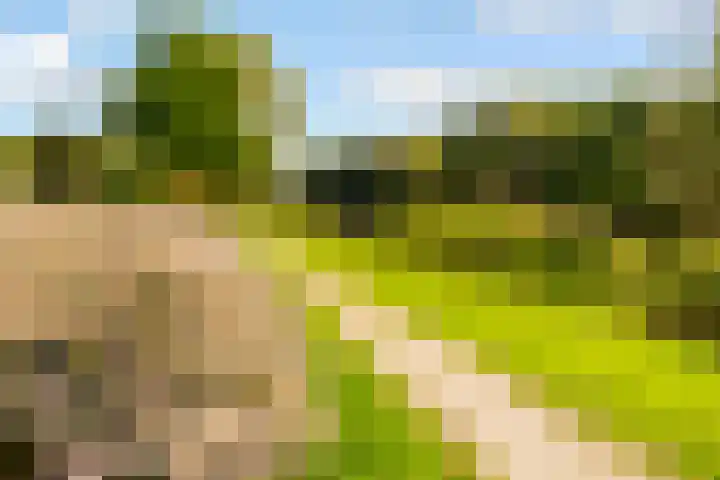 Maanzaadpad 25 Almere thumbnail 64