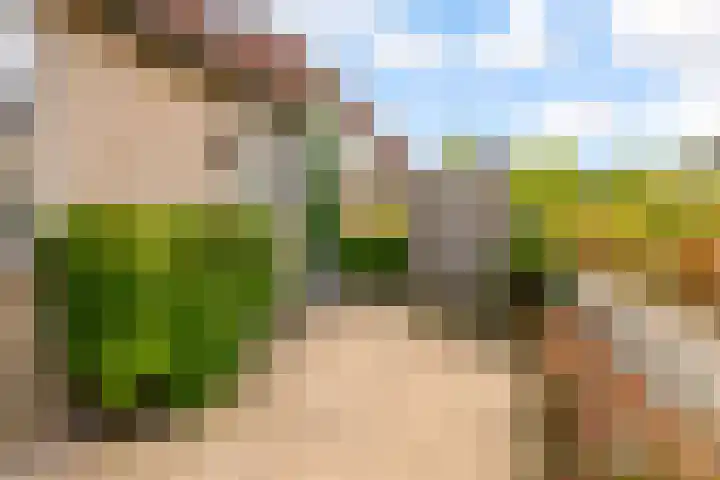 Maanzaadpad 25 Almere thumbnail 7