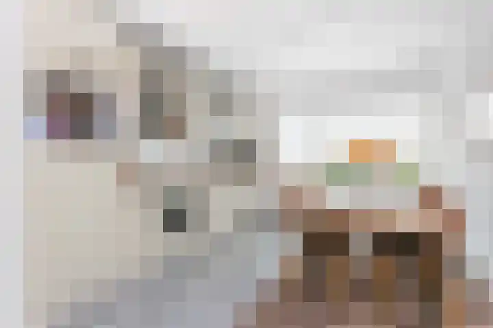 Maanzaadstraat 24 Utrecht thumbnail 10