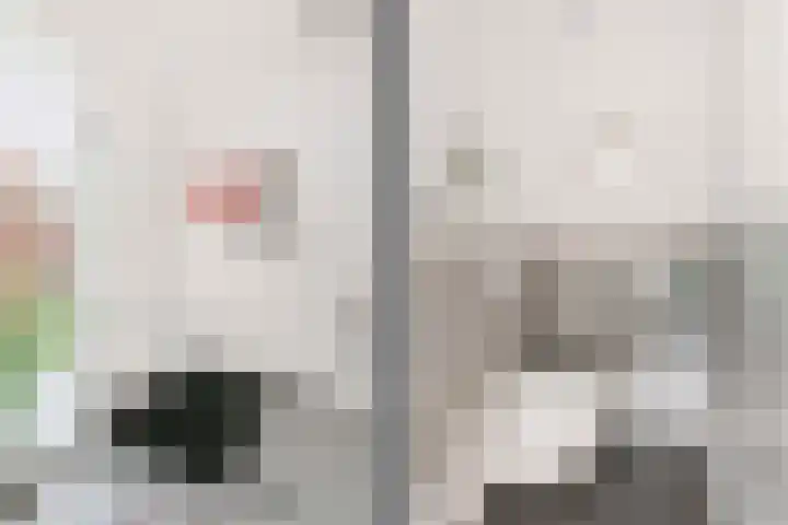 Maanzaadstraat 24 Utrecht thumbnail 12