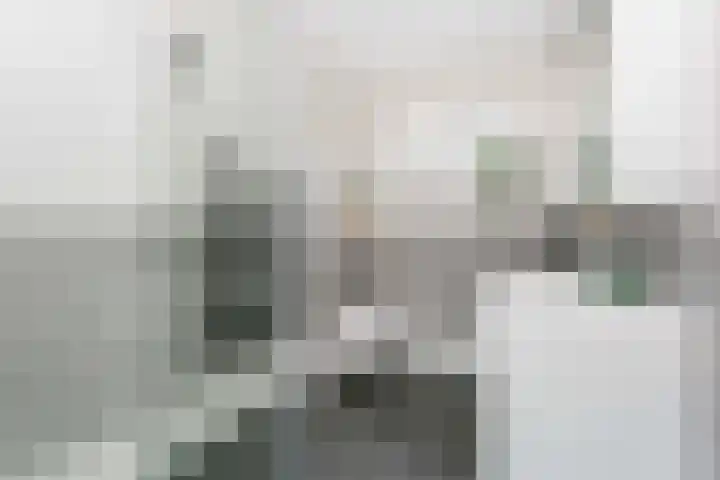 Maanzaadstraat 24 Utrecht thumbnail 17