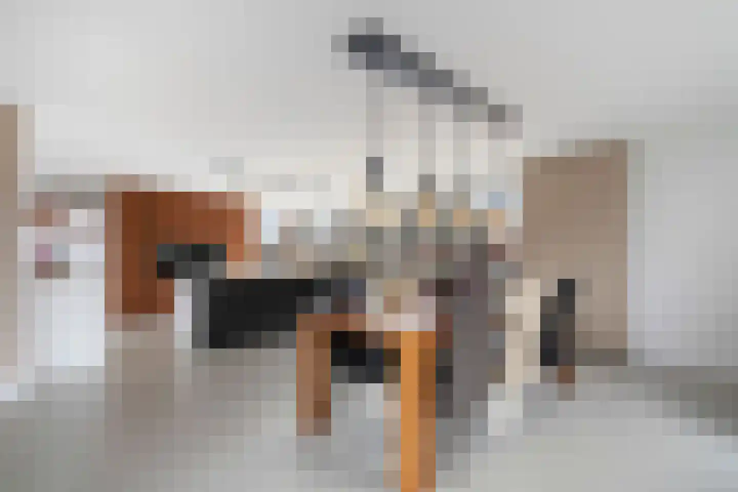 Maanzicht 23 Assendelft thumbnail 12