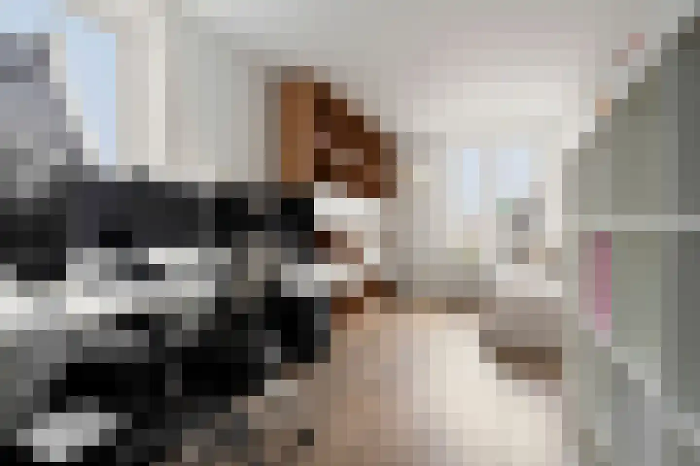 Maanzicht 23 Assendelft thumbnail 47