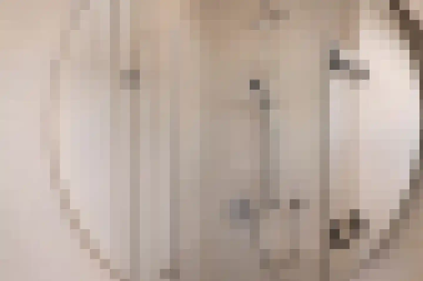Maanzicht 23 Assendelft thumbnail 64