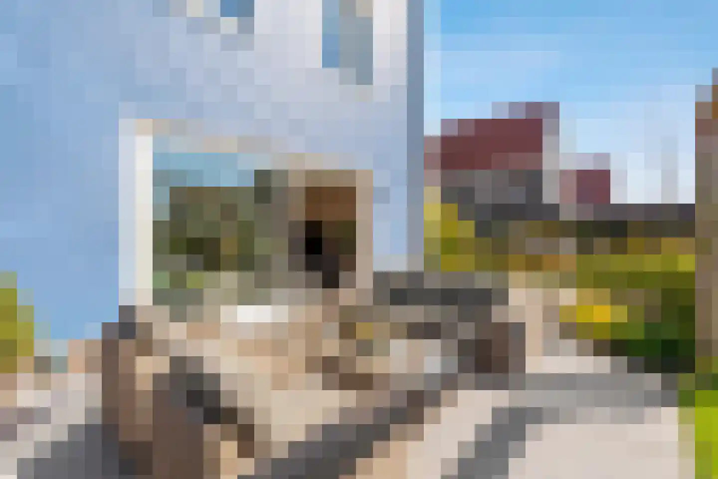 Maanzicht 23 Assendelft thumbnail 69