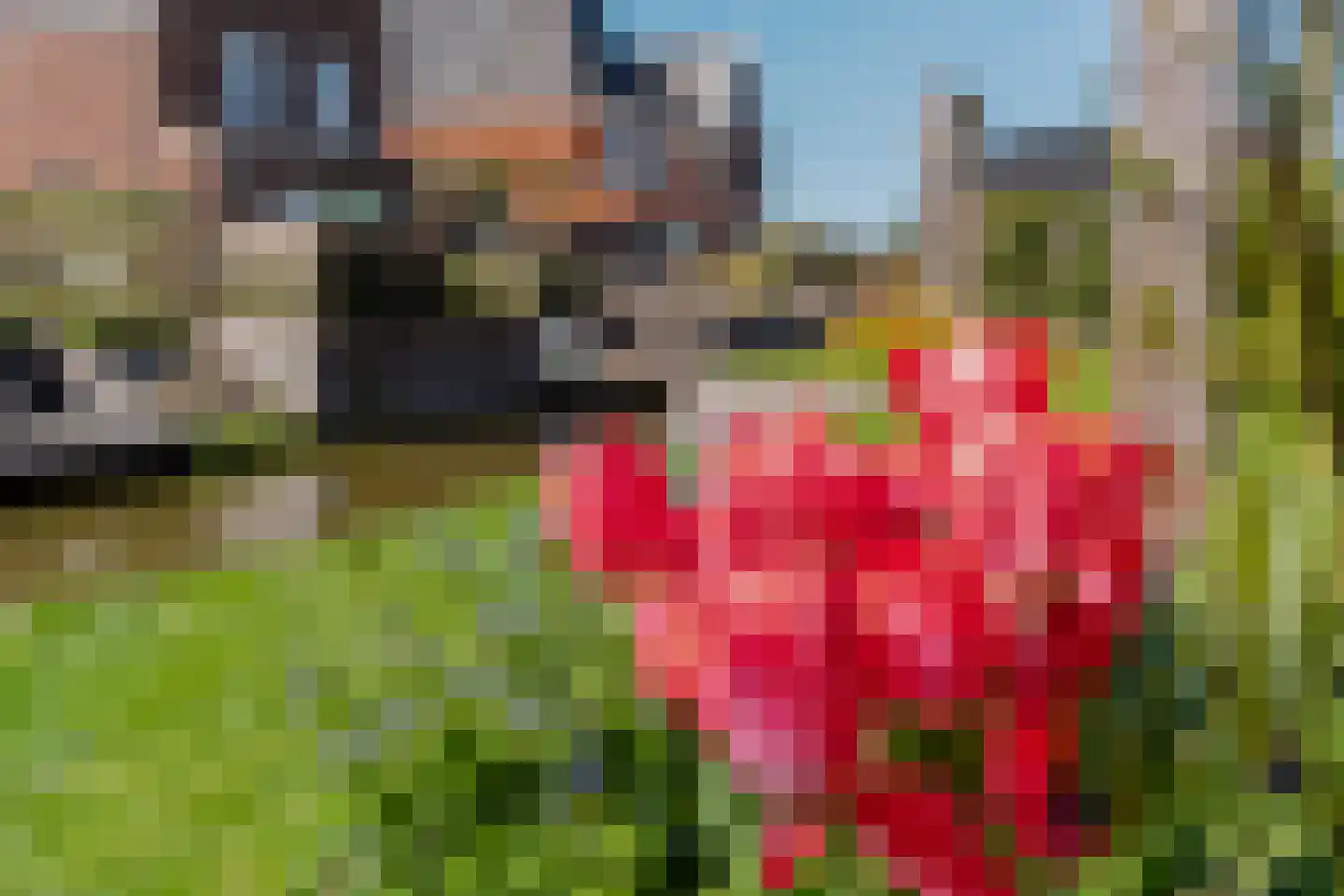 Maanzicht 23 Assendelft thumbnail 73