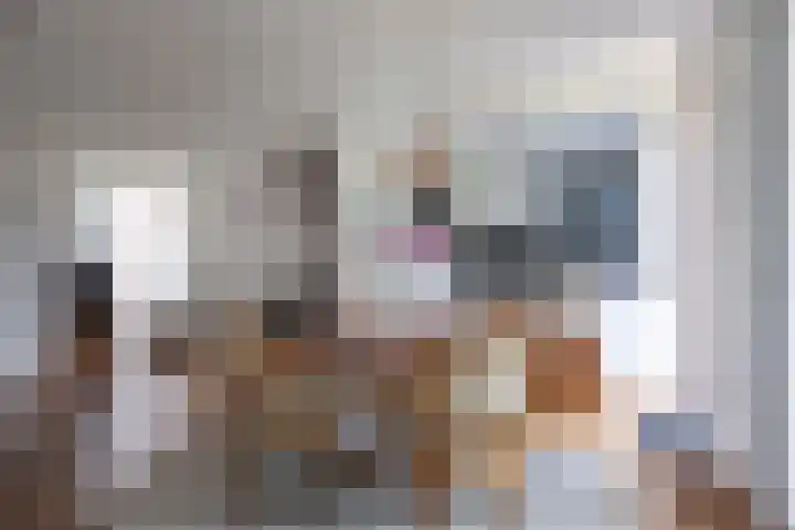 Maar 11 Kerkrade thumbnail 7