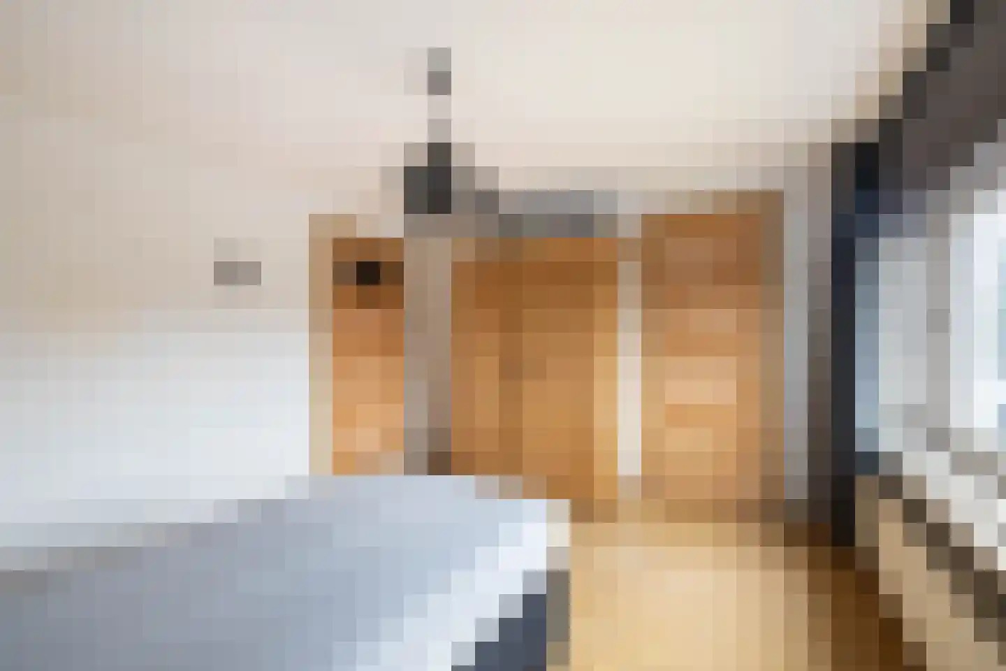 Maardijk 17 Almelo thumbnail 11