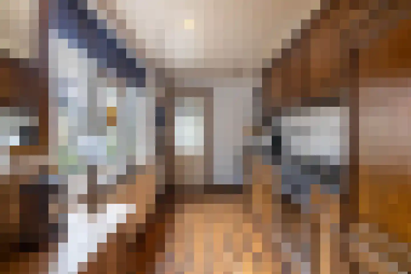 Maardijk 17 Almelo thumbnail 5