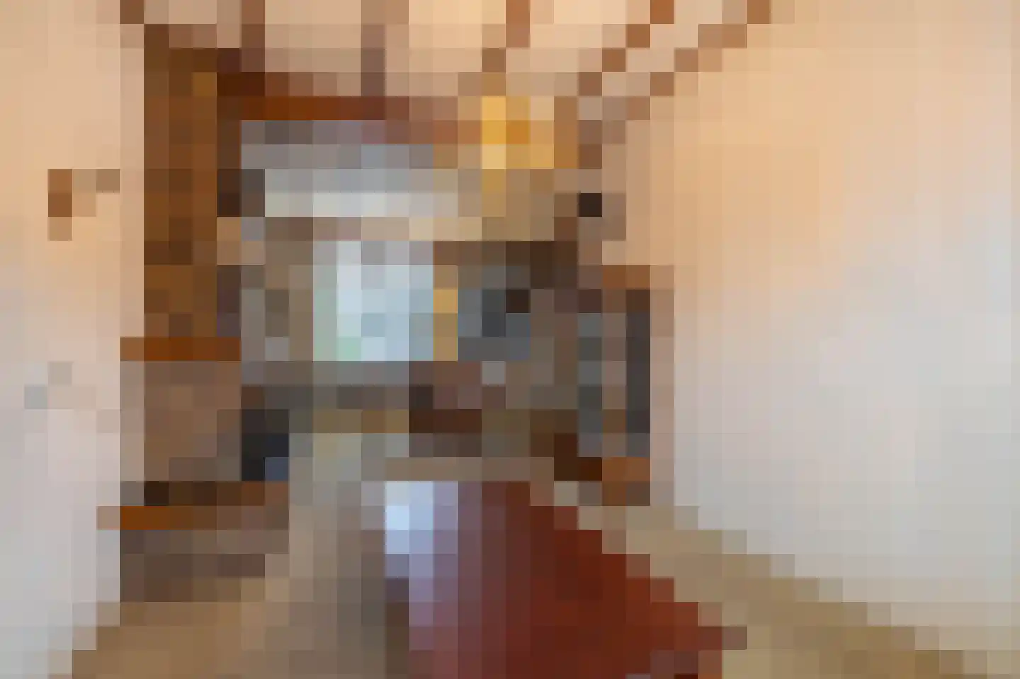 Maardijk 17 Almelo thumbnail 8