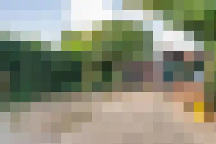 Maardijk 53 Almelo thumbnail 20