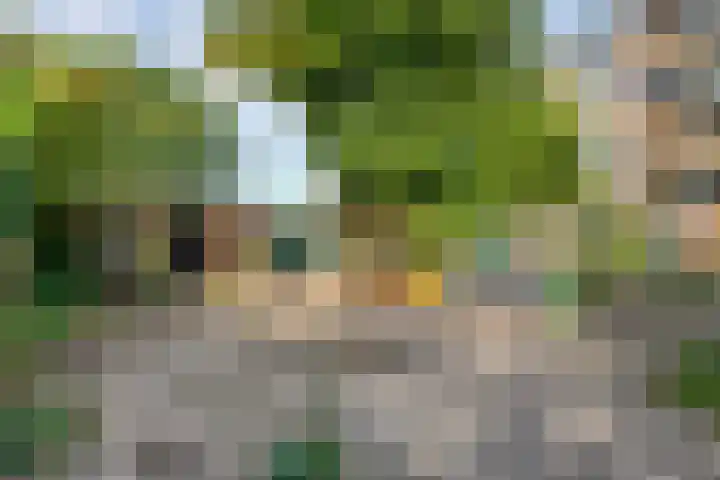 Maardijk 53 Almelo thumbnail 21