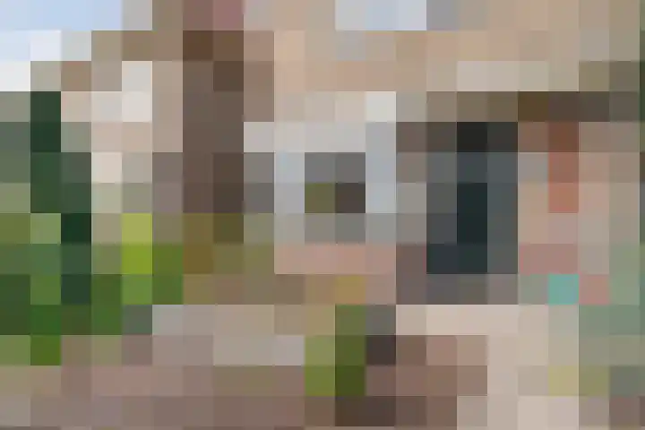 Maardijk 53 Almelo thumbnail 22