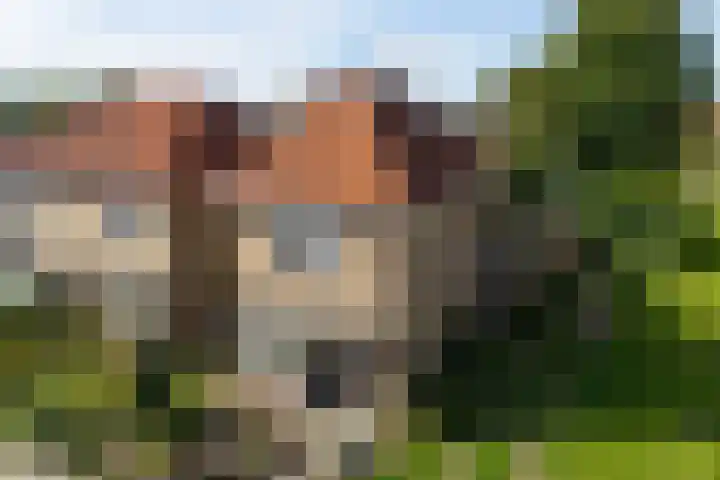 Maardijk 53 Almelo thumbnail 23