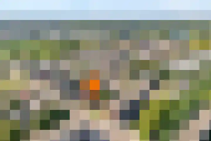 Maardijk 53 Almelo thumbnail 24