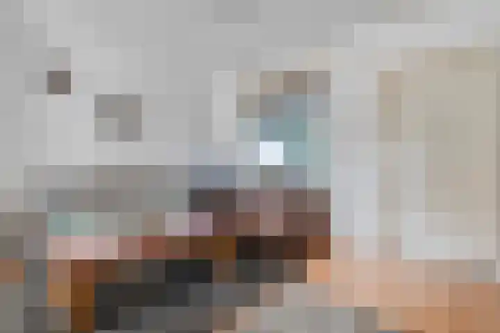 Maardijk 53 Almelo thumbnail 4