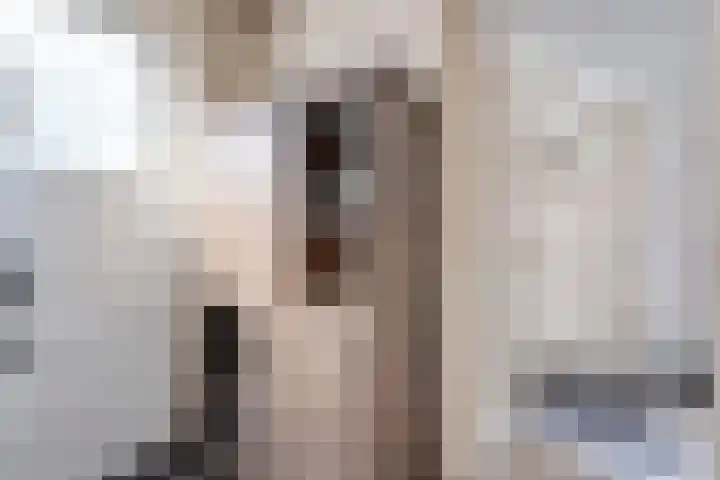 Maardijk 53 Almelo thumbnail 9