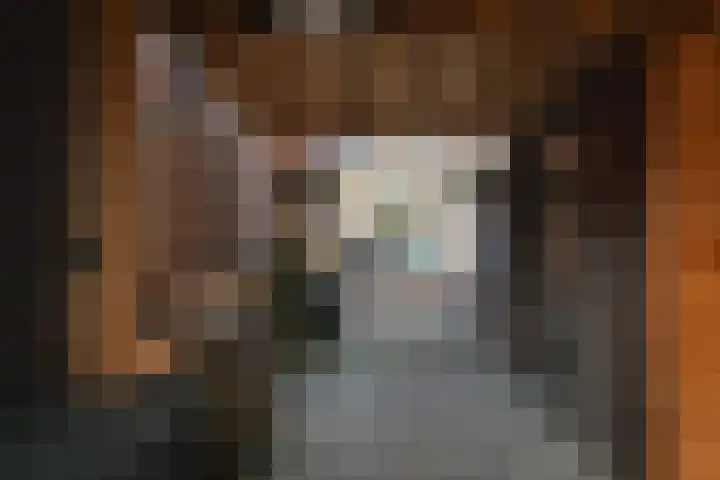 Maardijk 8 Almelo thumbnail 20