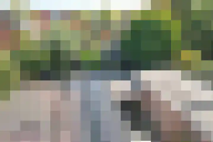 Maardijk 8 Almelo thumbnail 30