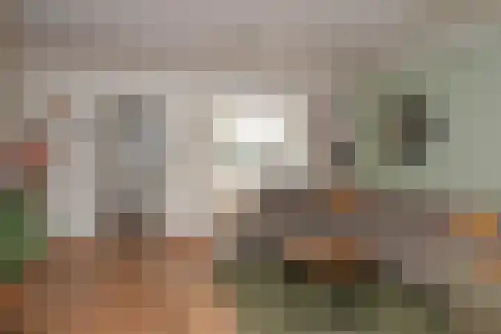 Maardijk 8 Almelo thumbnail 6