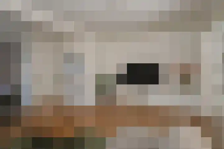 Maardijk 8 Almelo thumbnail 7
