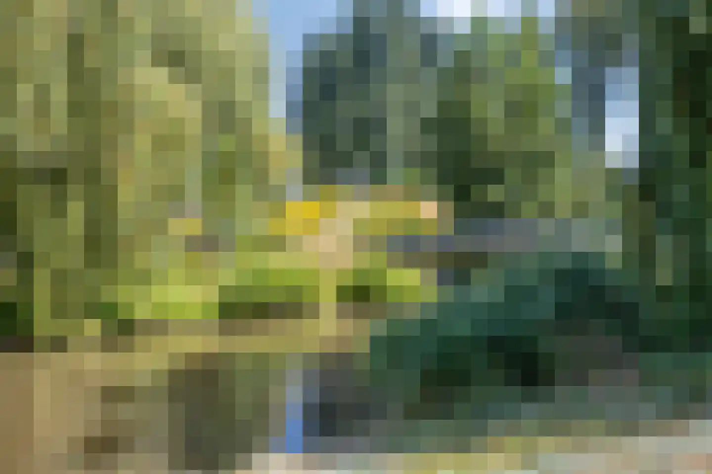 Maarheezepark 31 Tilburg thumbnail 34