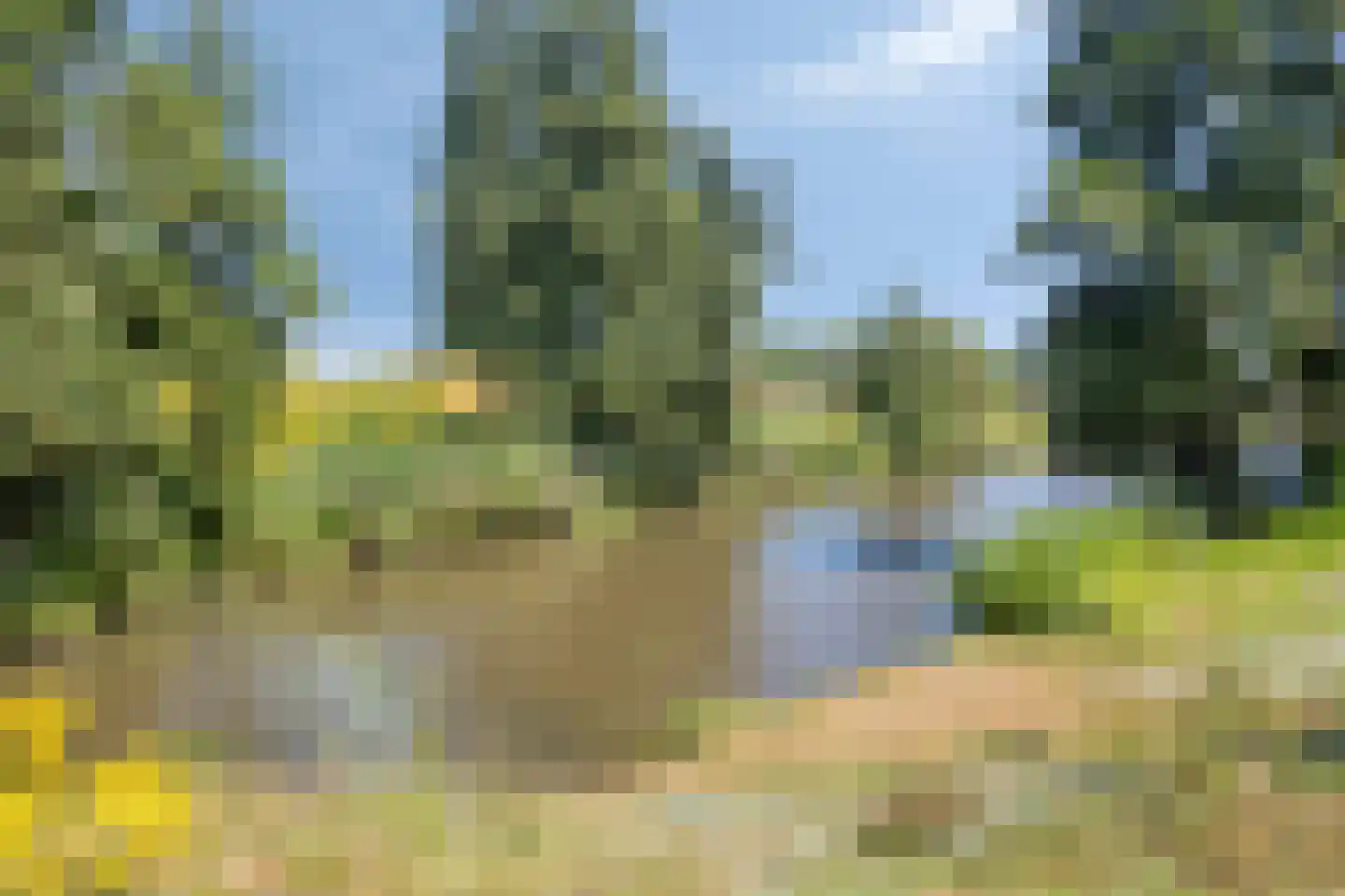 Maarheezepark 31 Tilburg thumbnail 35